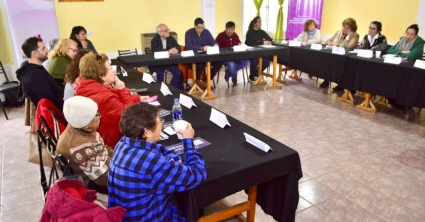 Neuquén: se realizó la segunda sesión del año del Consejo Municipal de Adultos Mayores