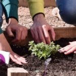 Mendoza: adultos mayores y jóvenes de Godoy Cruz se unen para participar de proyecto “Legado Verde”