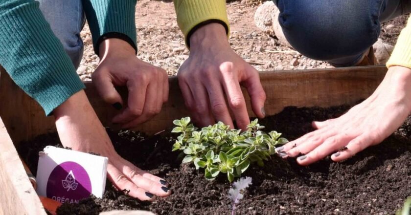 Mendoza: adultos mayores y jóvenes de Godoy Cruz se unen para participar de proyecto “Legado Verde”
