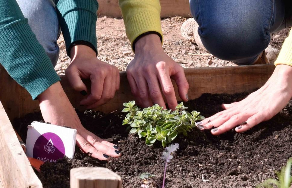 Mendoza: adultos mayores y jóvenes de Godoy Cruz se unen para participar de proyecto “Legado Verde”