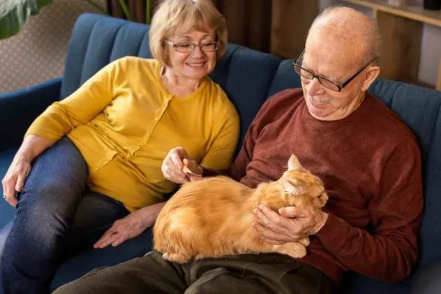 Tener mascotas en la tercera edad reduce el estrés: qué animal elegir y por qué